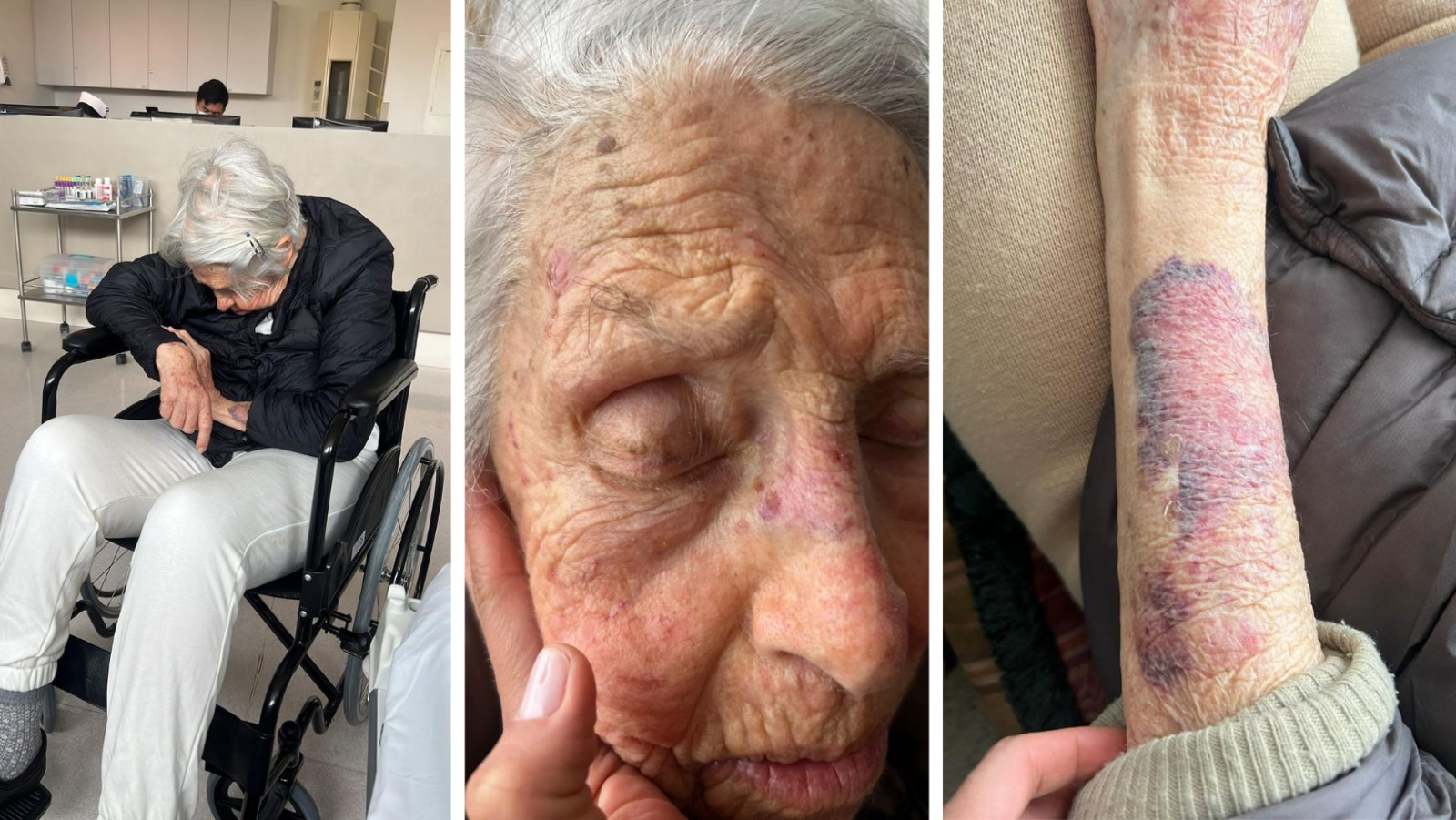 La pesadilla de Doña Helena: El imperio "Elena del Mar" bajo la sombra del maltrato y la ambición